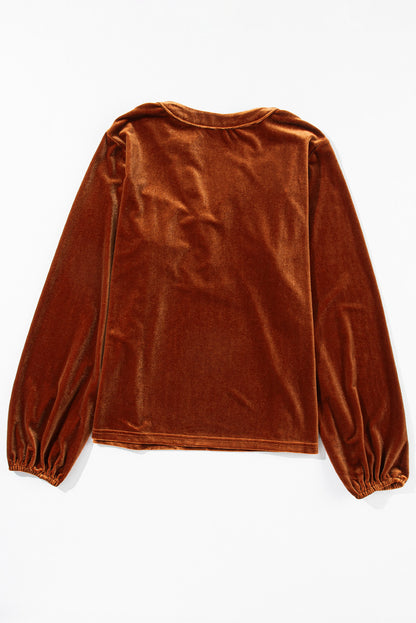 Notched Long Sleeve Velvet Top